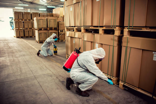 Best Pest Prevention Services  in Cascade Chipita Park, CO