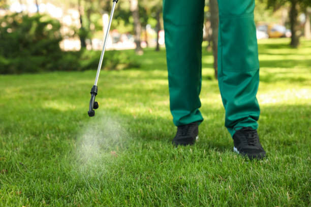 Best Pest Control Near Me  in Cascade Chipita Park, CO