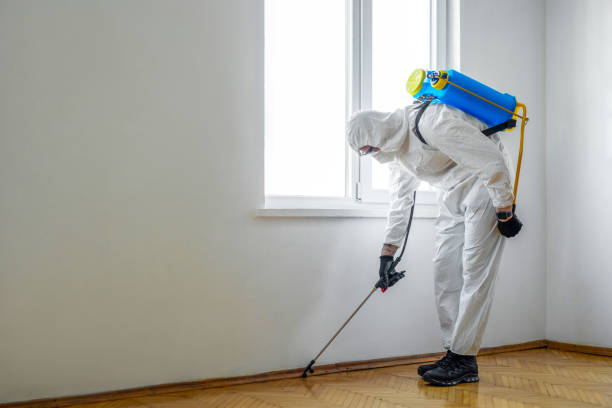 Best Pest Removal Services  in Cascade Chipita Park, CO