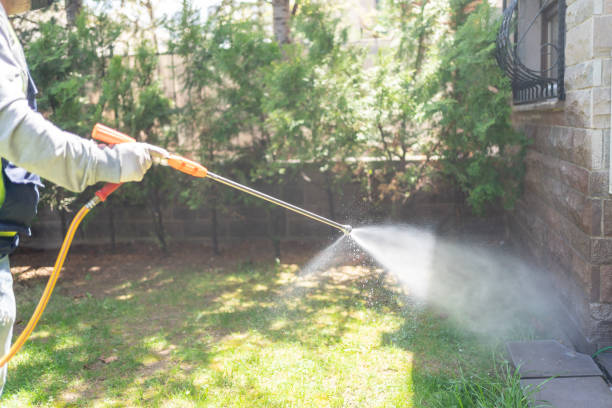 Best Insect Control  in Cascade Chipita Park, CO